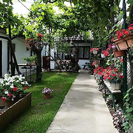 Flower House Констанца Екстериор снимка